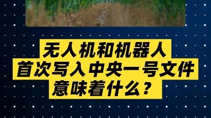 同类内容