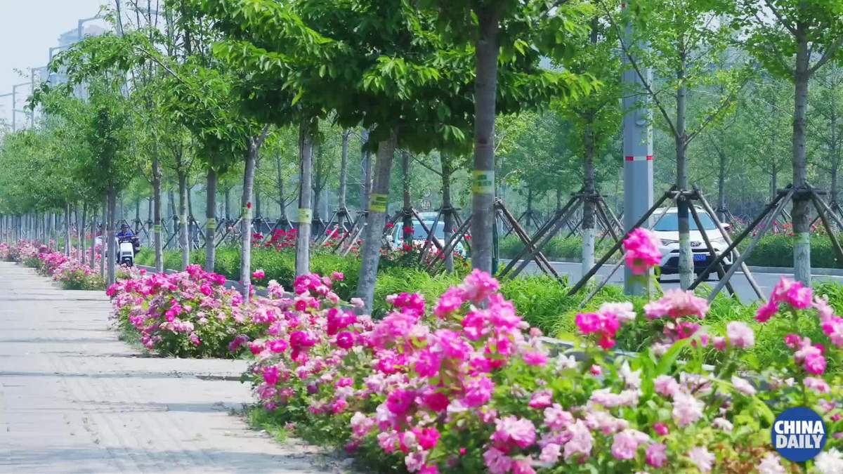 亚傅娱乐app官网新人权益