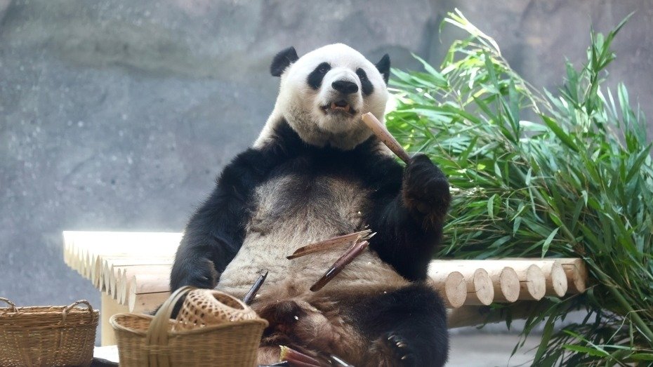 亚傅娱乐最新版本