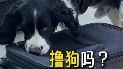 亚傅娱乐app官网优惠活动