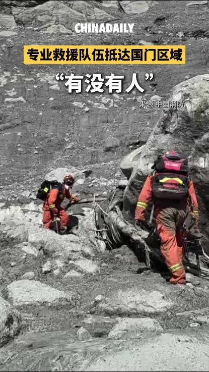 行船喂海鸥