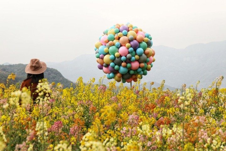 定格美丽瞬间
