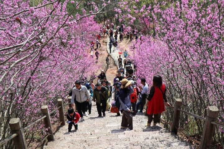 与春天合影