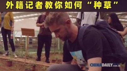 同题参见展览现场