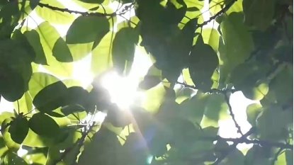 是新疆极具代表性的文化意象